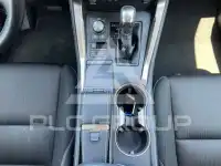 2019 Lexus NX