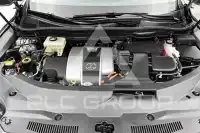 2019 Lexus RX