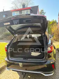 2019 Lexus RX
