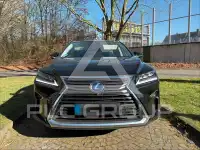 2019 Lexus RX