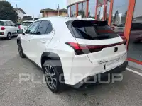 2019 Lexus UX