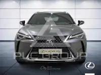 2019 Lexus UX
