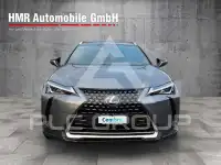 2019 Lexus UX