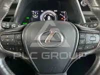 2019 Lexus UX
