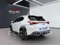 2019 Lexus UX