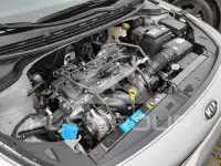 2019 KIA Rio