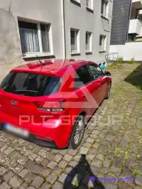 2019 KIA Rio