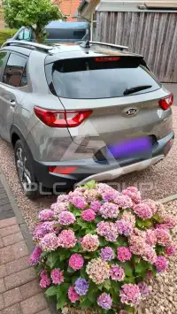 2019 KIA Stonic