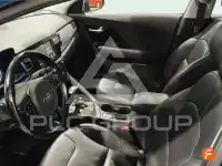 2019 KIA Niro