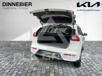 2019 KIA Niro
