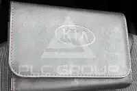 2019 KIA Niro