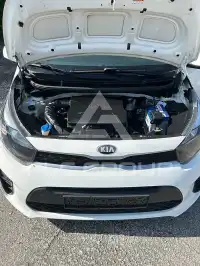 2019 KIA Picanto