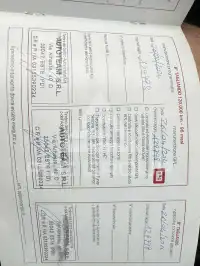 2019 KIA Picanto