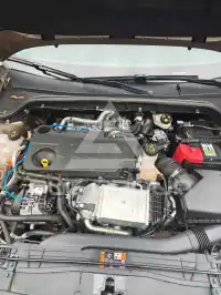 2019 Ford FOCUS