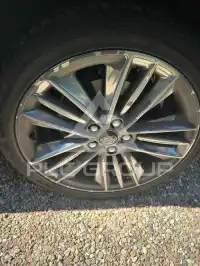 2019 Ford FOCUS