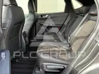 2019 Ford Kuga