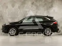 2019 Ford Kuga