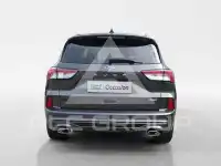 2019 Ford Kuga