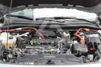 2019 Ford Kuga