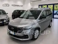 2019 Ford Tourneo