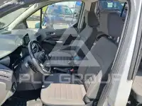 2019 Ford Tourneo