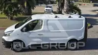 2019 Renault Trafic