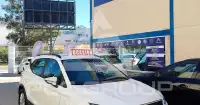 2019 Seat Alteca