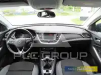 2019 Opel GrandlandX