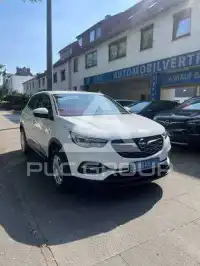 2019 Opel GrandlandX
