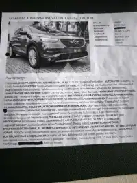 2019 Opel GrandlandX