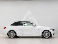 2020 BMW 218