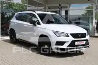 2020 Cupra Other