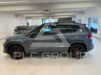 2020 Cupra Other