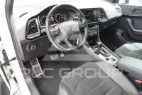 2020 Cupra Other