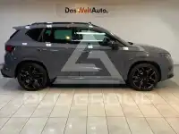 2020 Cupra Other