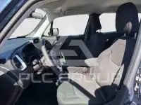 2020 Jeep Renegade