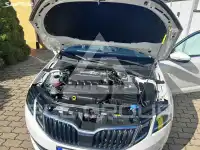 2020 Skoda Octavia