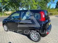2020 Fiat Panda