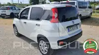 2020 Fiat Panda