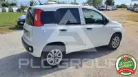 2020 Fiat Panda