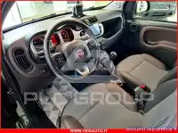 2020 Fiat Panda
