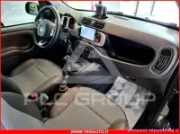 2020 Fiat Panda