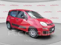2020 Fiat Panda