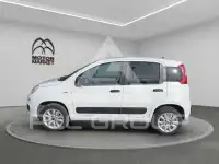 2020 Fiat Panda