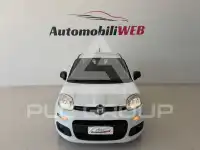 2020 Fiat Panda