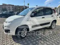 2020 Fiat Panda