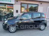 2020 Fiat Panda