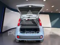 2020 Fiat Panda