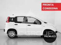 2020 Fiat Panda