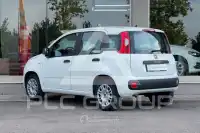 2020 Fiat Panda